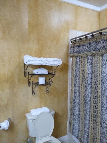 a bathroom with a toilet and a shower curtain at The Great House Inn in Belize City
