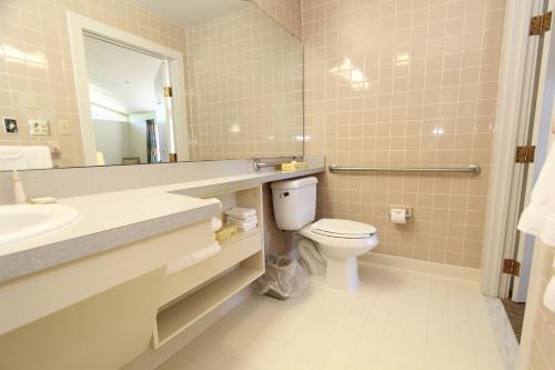 a bathroom with a toilet and a sink and a mirror at Kentucky Dam Village State Resort Park in Gilbertsville