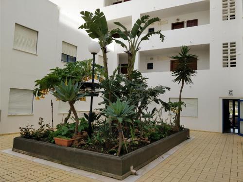 Oceanides Beachfront Apartments