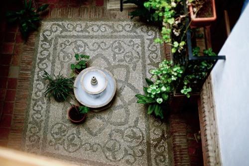 an overhead view of a table and potted plants at Palacete Magistral Domínguez habitaciones in Guadix