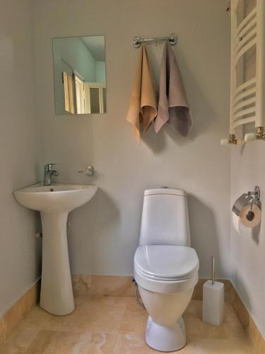 ein Badezimmer mit weißer Toilette und Waschbecken in der Unterkunft Vercxli 24 in Tbilisi City