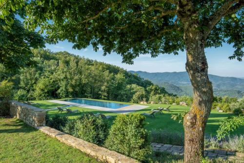 een zwembad in een tuin met een boom bij Badia di Pomaio in Arezzo