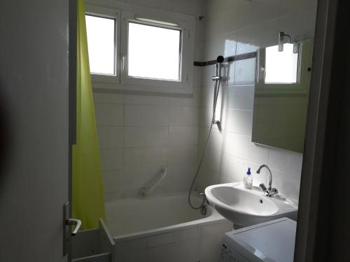 La salle de bains est pourvue d'un lavabo et d'une baignoire. dans l'établissement La Grâce, à Vaulx-en-Velin