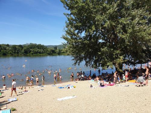 a group of people on a beach in the water at Apartman tipa studio BMB in Veliko Gradište