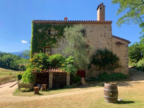 una vieja casa con hiedra a un lado. en Mas Lo Faix, en Saint-Laurent-de-Cerdans