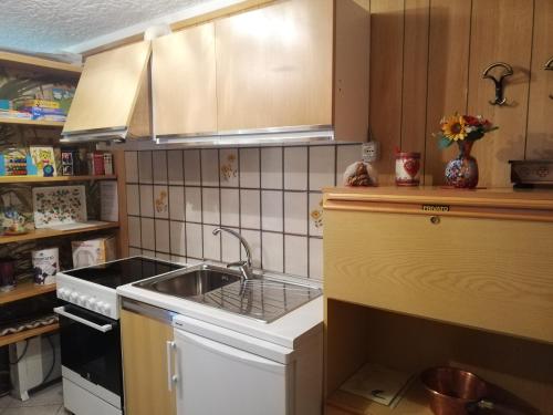 Kuchyňa alebo kuchynka v ubytovaní Marilleva 1400 "Il volpino"