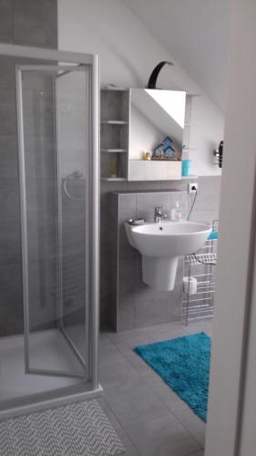 a bathroom with a glass shower and a sink at Ferienwohnung Mechernich-Eifel in Mechernich