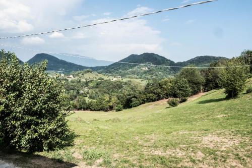 a view of a green field with mountains in the background at LA VIGNA FIORITA B&b in Tarzo