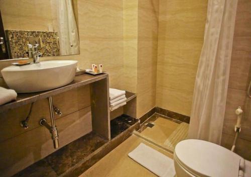a bathroom with a sink and a toilet at Hotel DS Clarks Inn Gurgaon in Gurgaon