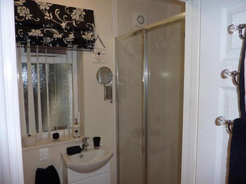 a bathroom with a shower and a sink at Banfield Lodge for Gower in Swansea