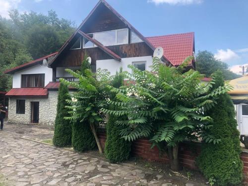 a house with plants in front of it at Popas Balea Rau in Cîrţişoara
