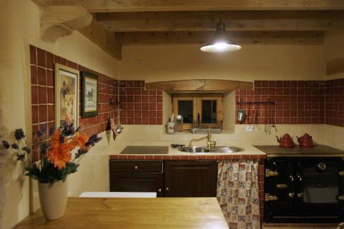 uma cozinha com um lavatório e uma bancada em Casa Rural El Llao Y Los Fresnos - El Urogallo em Murias de Paredes