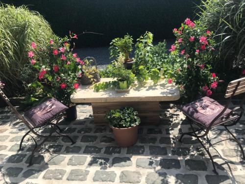 a stone table with potted plants on a patio at La Maison d'Arc Chambres et Tables d'Hôtes in Frasnes-lez-Anvaing