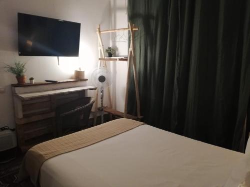 a bedroom with a bed and a desk with a television at Cactus Host in Las Palmas de Gran Canaria