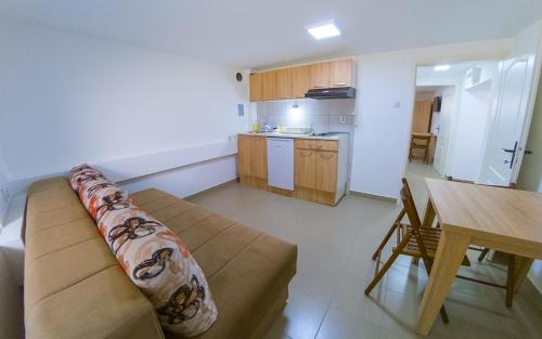 salon z kanapą i stołem oraz kuchnią w obiekcie Apartman Stefanović w mieście Sokobanja