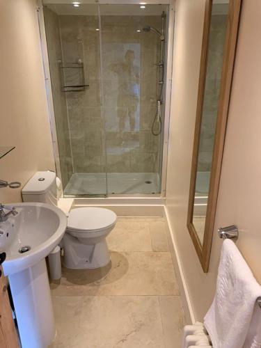 a bathroom with a shower and a toilet and a sink at Stable lodge 2 Bedrooms in Horspath