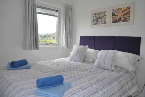 a bedroom with a bed with two blue pillows on it at 31 Laigh Isle in Isle of Whithorn
