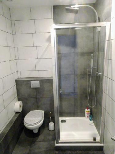 een kleine badkamer met een douche en een toilet bij Aux portes de l'Eure in Bonnières-sur-Seine