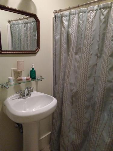 a bathroom with a sink and a shower curtain at Couture Farm at Millstone Hill in Barre