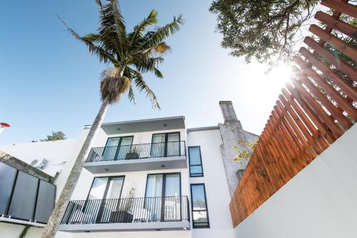 a building with a palm tree in front of it at Ilha Hostel & Suites in Ponta Delgada