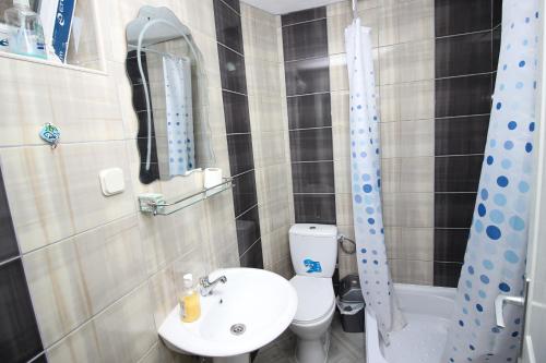La petite salle de bains est pourvue de toilettes et d'un lavabo. dans l'établissement Apartmani Mishe, à Vevčani