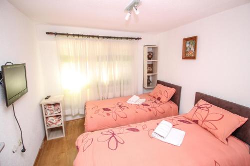 a bedroom with two beds and a tv at Apartmani Mishe in Vevčani