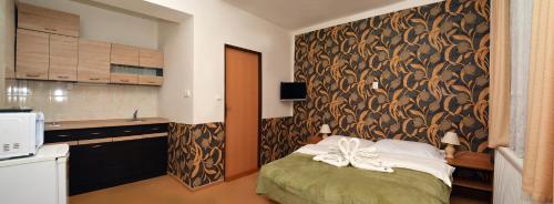 een kleine kamer met een bed en een keuken bij Penzion Horalka in Hlinsko