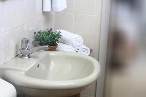 a white sink in a bathroom with a potted plant at Castelo Palace Hotel in Batatais