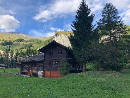a wooden cabin in a grassy field with a tree at Chalet historique de haut standing in La Tour