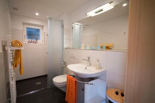 W łazience znajduje się umywalka, toaleta i lustro. w obiekcie Chalet Bergoase w mieście Hohfluh