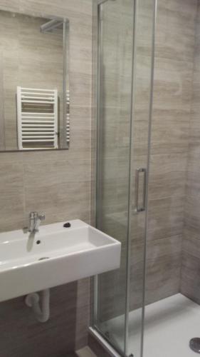 a bathroom with a sink and a shower at Penzion Levandule a Palava in Starovičky