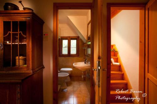 Kylpyhuone majoituspaikassa Domačija Koklej - Apartments Vintage Vacation