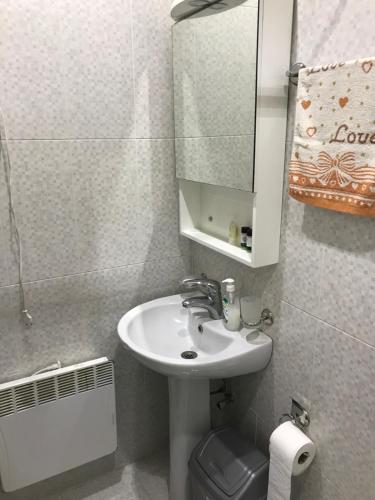 a bathroom with a sink and a mirror and a toilet at LN'S APARTMENT in Borjomi