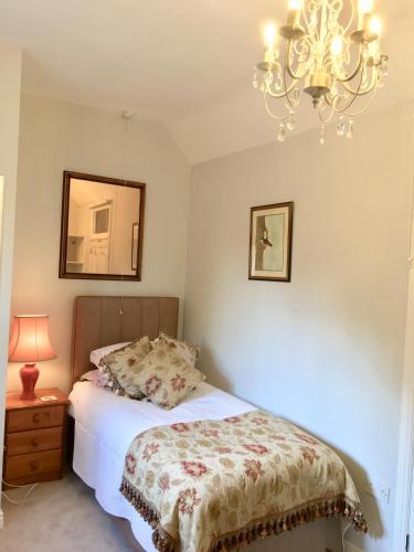 a bedroom with a bed and a chandelier at Bron Hafren in Montgomery