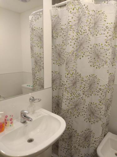 a bathroom with a sink and a shower curtain at Cono de Arita in Salta