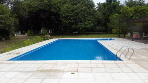 a blue swimming pool in a yard with trees at Estancia del Olivo in Chilecito