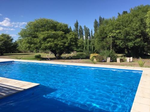 a blue swimming pool with trees in the background at Estancia del Olivo in Chilecito