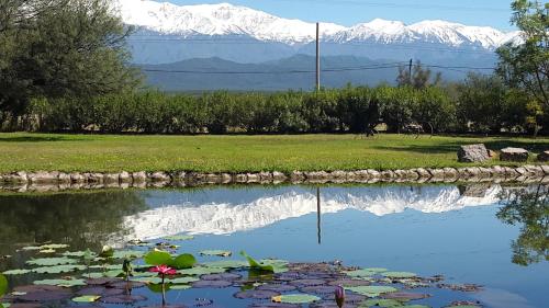 a pond with a reflection of a snow covered mountain at Estancia del Olivo in Chilecito