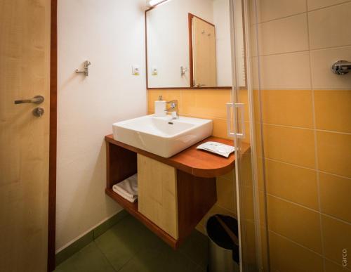 a bathroom with a sink and a shower at Penzion Proneco in Klentnice
