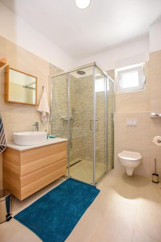 a bathroom with a shower and a sink and a toilet at Apartments Milena 8 in Mandre