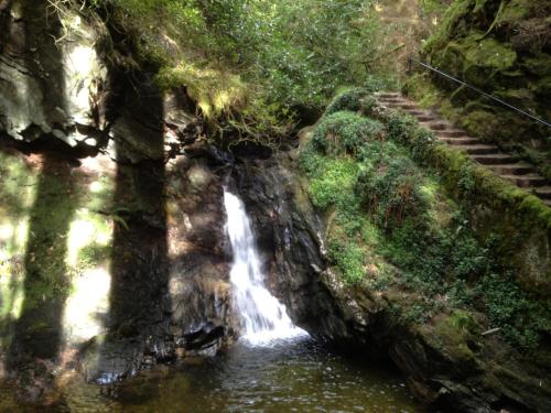 Un paisaje natural cerca del lodge