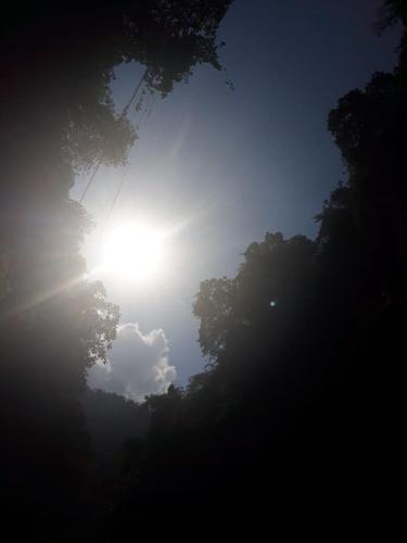a sun shining through the trees in the sky at Sugi Gede Homestay in Singaraja