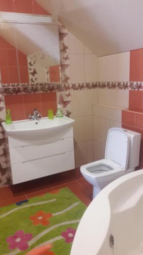 La salle de bains est pourvue de toilettes et d'un lavabo. dans l'établissement Відрада, à Myrhorod