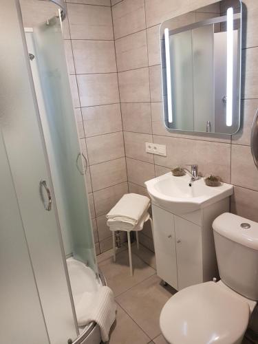 La salle de bains est pourvue de toilettes, d'un lavabo et d'un miroir. dans l'établissement J&E NERIES Apartment, à Kaunas