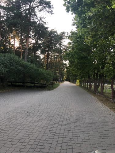 Galería fotográfica de Dom pod Jabłonia en Stare Juchy