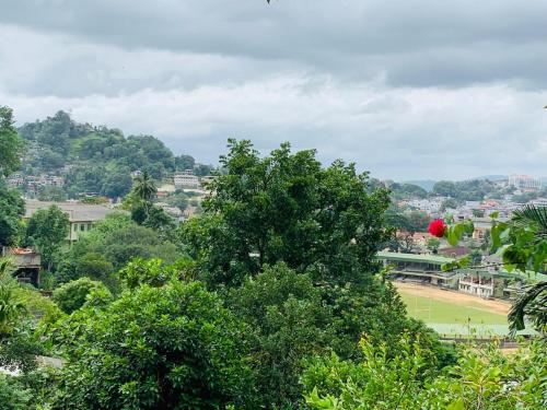 vista su una città alberata e su un campo di Jaga's Hill homestay a Kandy