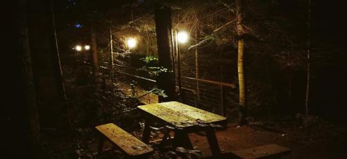 a picnic table at night with a fence and lights at Poiana Bucovat in Gura Humorului