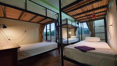 Ce lit se trouve dans un dortoir doté de 2 lits superposés et de fenêtres. dans l'établissement Phong Nha Amanda Homestay, à Phong Nha