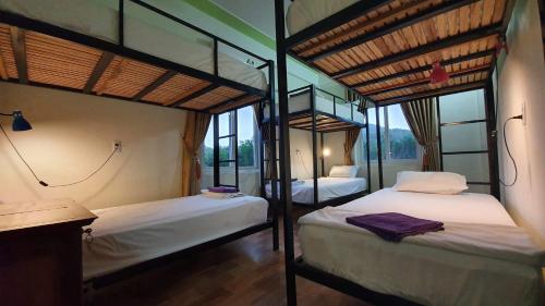 Giường trong phòng chung tại Phong Nha Amanda Homestay