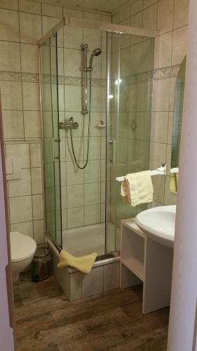 a bathroom with a shower and a toilet and a sink at Pension Zur Quelle in Bad Frankenhausen